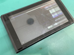 IMG_3948