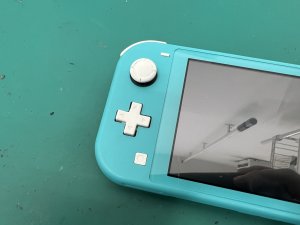 edited_IMG_0140_20250608_130747