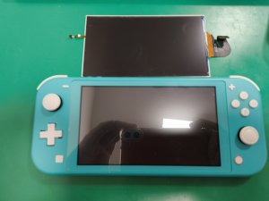 IMG_20251013_122144235